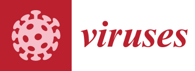 Viruses